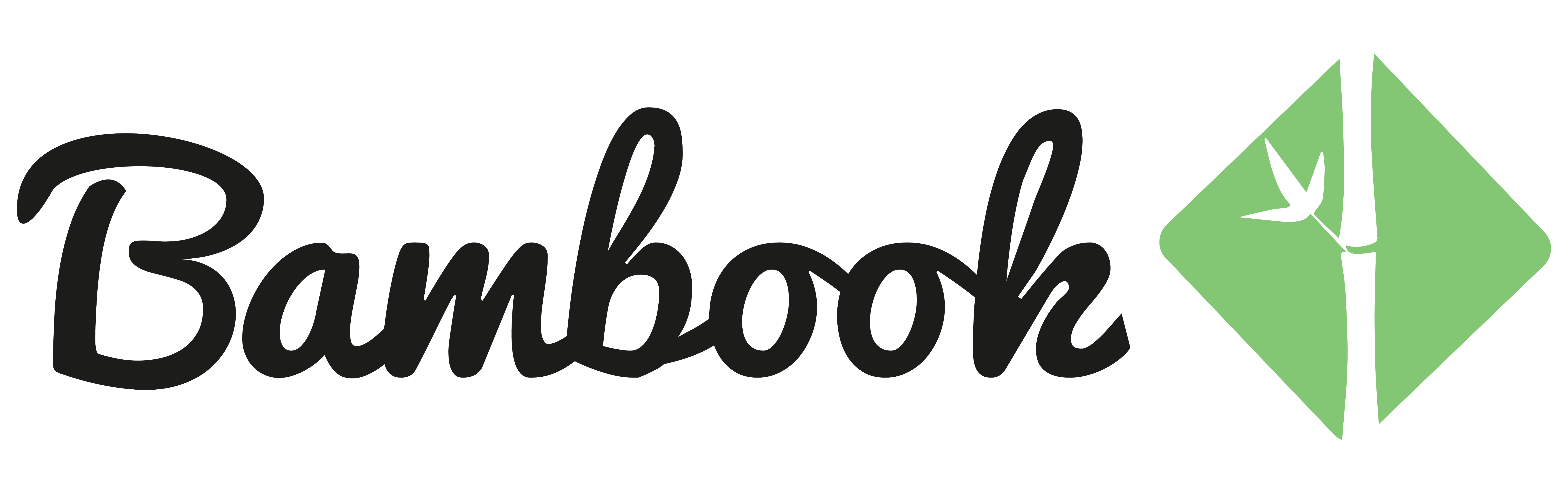 Bambook BV